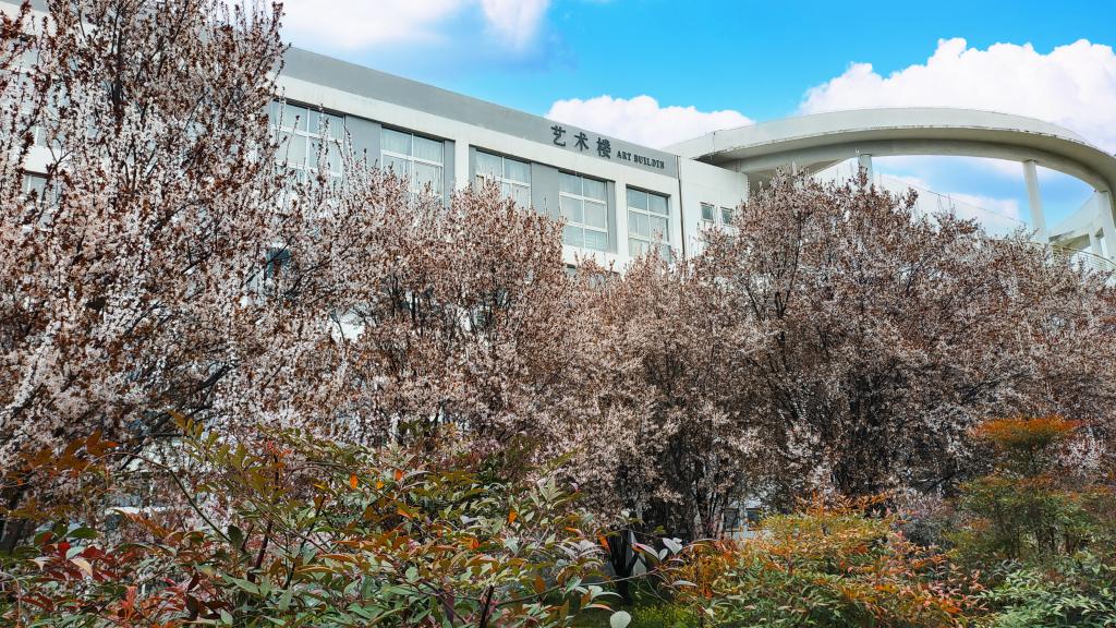 谈球吧体育官网入口