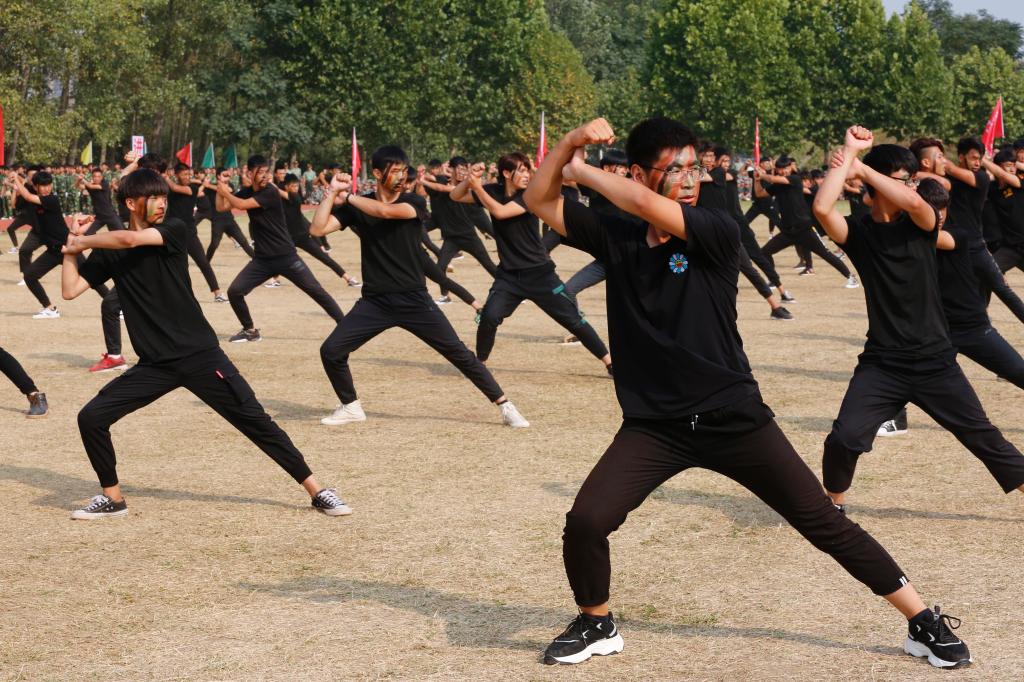 谈球吧体育官网入口