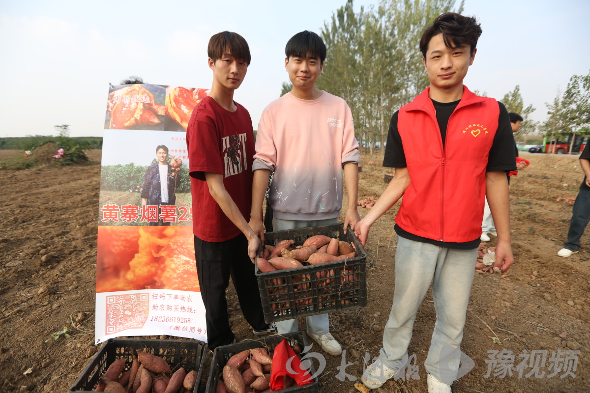 谈球吧体育官网入口