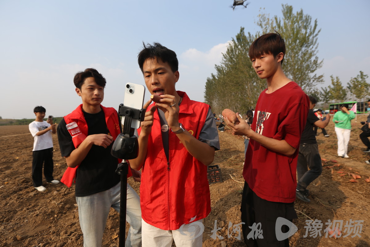 谈球吧体育官网入口