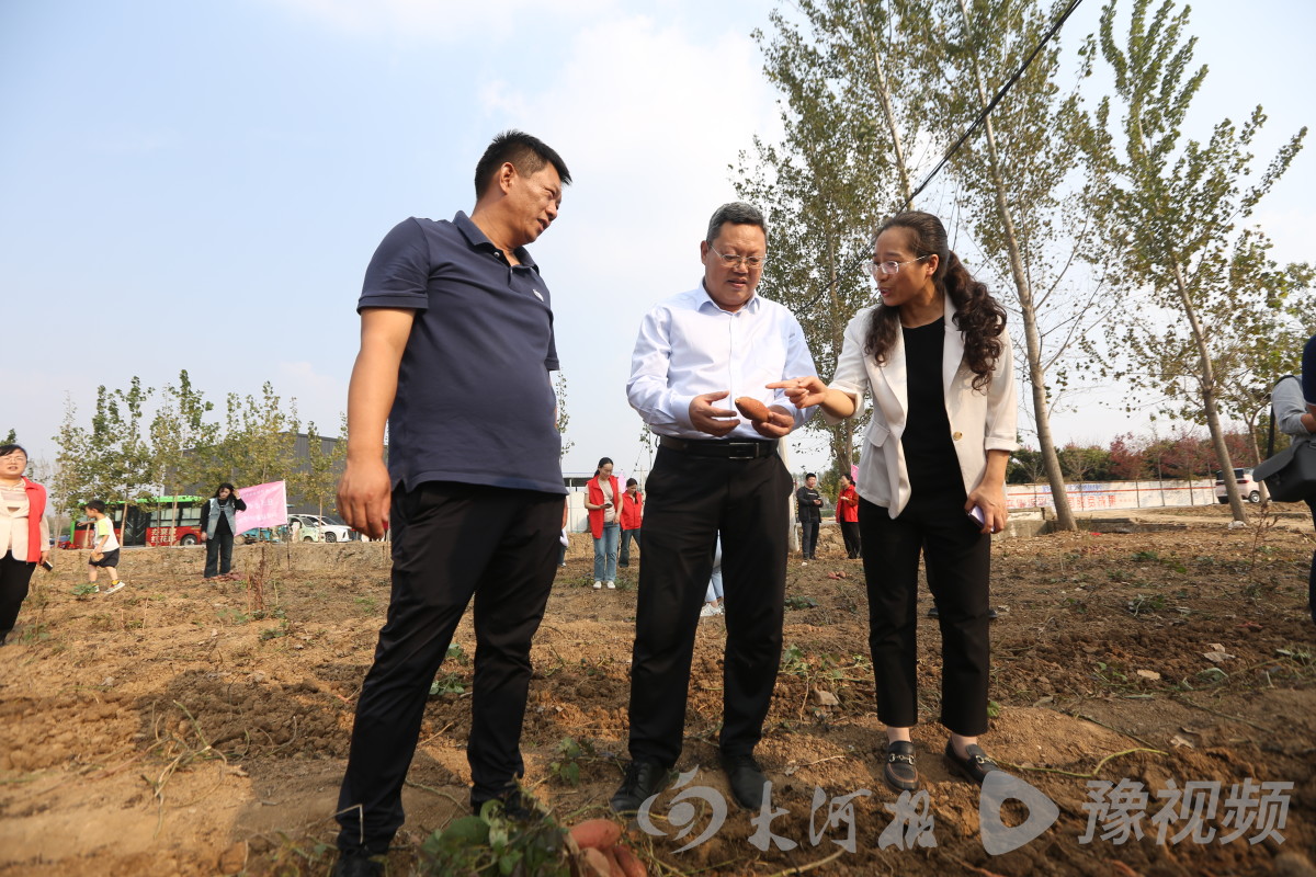 谈球吧体育官网入口