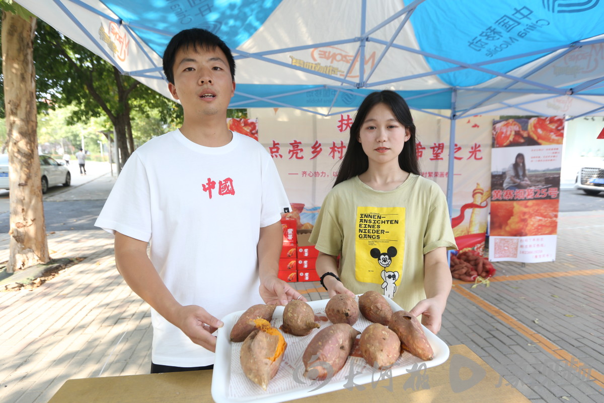 谈球吧体育官网入口